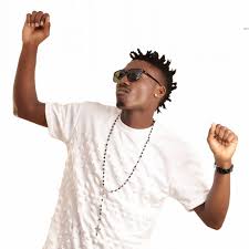 Bauchi State Governor, Abubakar invites BBNaija Efe to Yankari