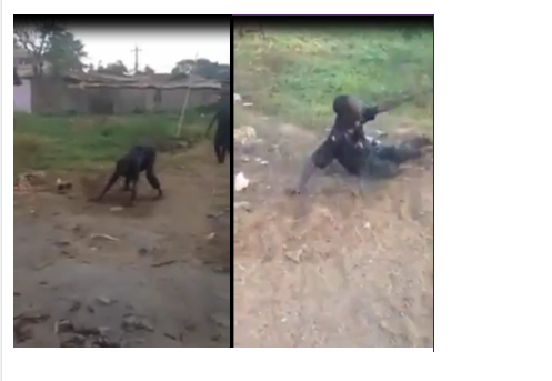 See how drunk police officer 'in uniform' rolled on muddy floor