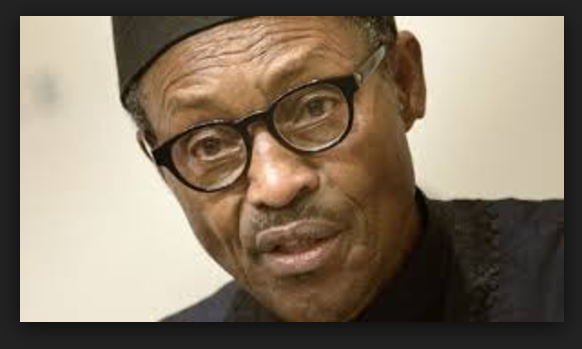 Presidency reveals how evil politicians traveled to India to pray for Buhari’s death