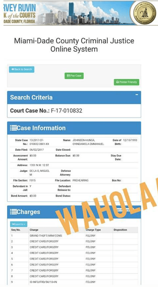 Dammy Krane speaks up after arrest for grand theft