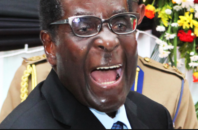 Zimbabwe appoints 'Minister of Whatsapp