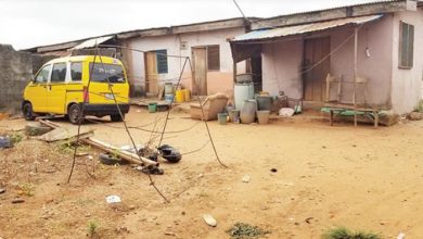Adekunle Adeyemi stabs co-tenant