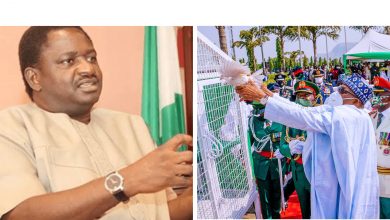 Femi Adesina Explains Why The Birds Didn't Fly