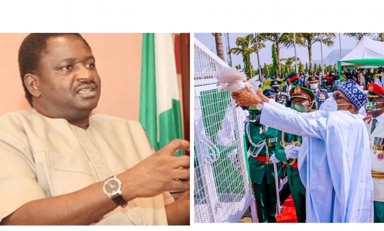 Femi Adesina Explains Why The Birds Didn't Fly