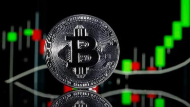 Bitcoin and other cryptos recover