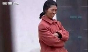 Li Zhanying