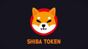 Shiba Inu