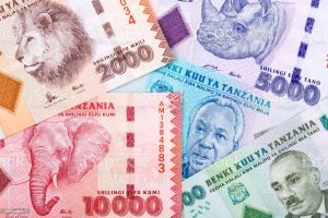 Tanzania currency