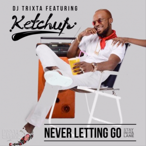 Never Letting Go - DJ Trixta ft Ketchup