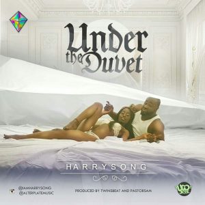 Under The Duvet - Harrysong