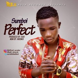 Perfect - Sureboi
