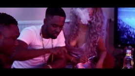 Steal-My-Shine-Dun-D