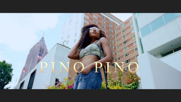 Pino-Pino-Phyno