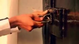 This-Is-Using-Your-Own-Hands