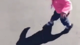 Aww-Video-of-The-Month