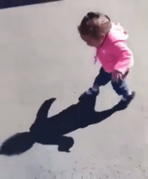 Aww-Video-of-The-Month