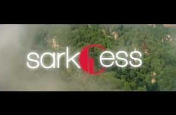 Sarkodie-Pain-Killer