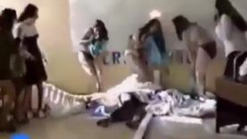 If-This-Video-Doesnt-Make-Your-Day