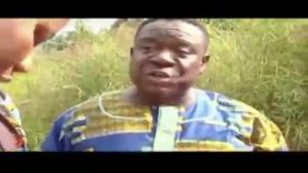 This-World-Na-Wow-Mr-Ibu