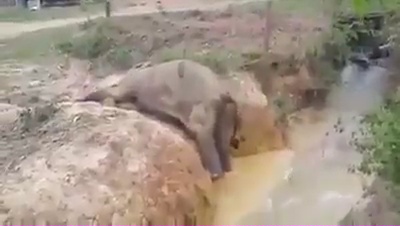 This-Video-Should-Challenge-Humanity