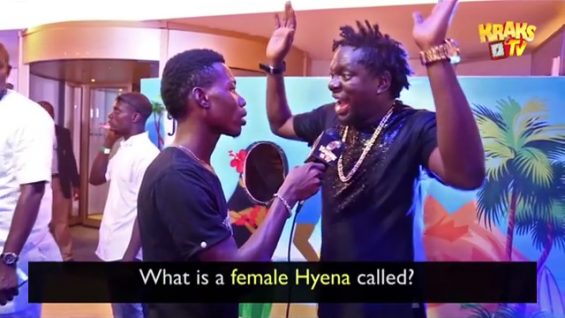 What-is-a-Female-Hyena-Called-Continues