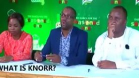 How-They-Made-Fools-of-Themselves