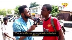 What-Rubbish-Is-This