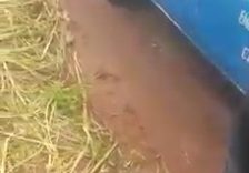 Why They Harassed FRSC Official Vehicle