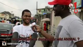 After All The Money Wasted On Their Education