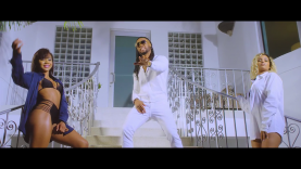 Flavour – Loose Guard