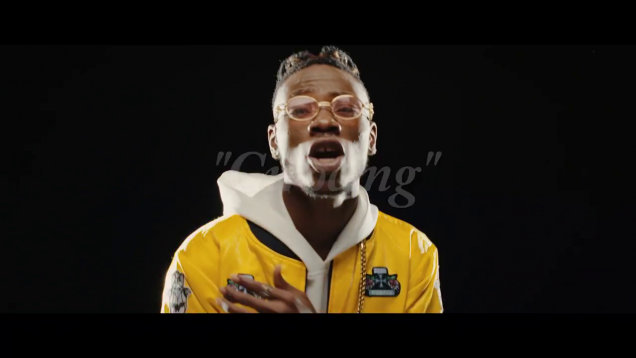 Cirocing – Davolee