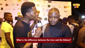 Difference Between Liver And Kidney