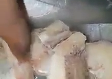 Plastic fish now being sold