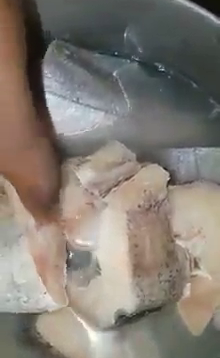 Plastic fish now being sold