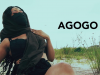 Agogo – Saintzmania