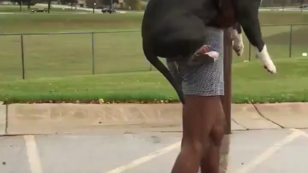 Only A Black Woman Can Do This To A Man