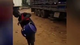 The skillful Hustlers