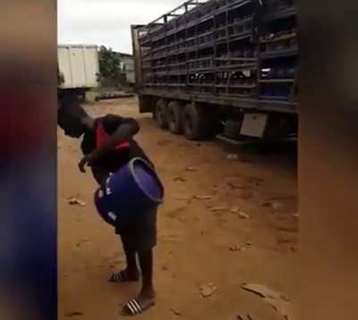 The skillful Hustlers