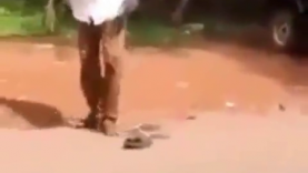 Drunken Master Naija Version