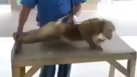 Have Y’all Met This Gym Freak