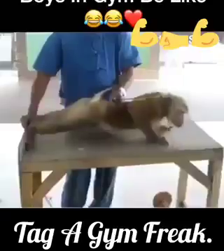 Have Y’all Met This Gym Freak