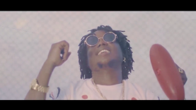 Back To The Bang – Bush Baby