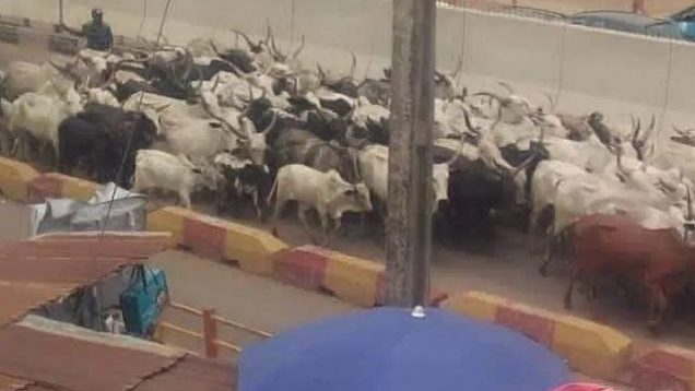 22AB2BEC-4E3F-402B-B762-717E4A89283E