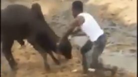 477ADEFF-DE32-40F7-8BC0-7D5A1E8DFA37