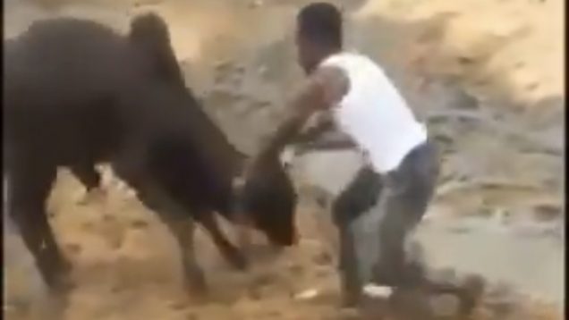 477ADEFF-DE32-40F7-8BC0-7D5A1E8DFA37