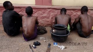 0A4643F9-A587-4951-94D1-FF0811A5BB5C