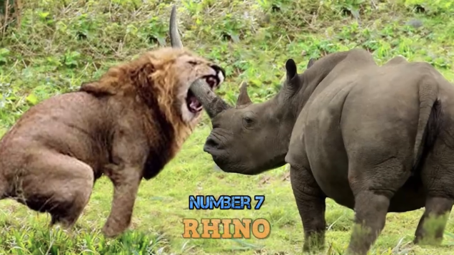 7741B9C8-B5DB-4366-B33E-EDF5DB46E723