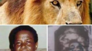 263C3D97-A27E-4380-8857-F99535F4D3C8