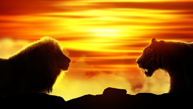 B48A329B-775B-4DDE-ACE8-46FF55468B96