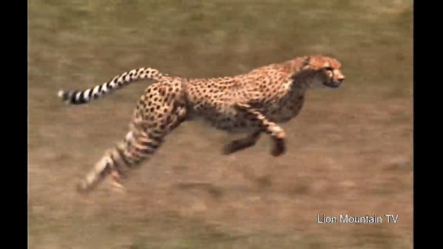 57696BC3-7C3A-47CE-A9C5-2381F50BAFCE